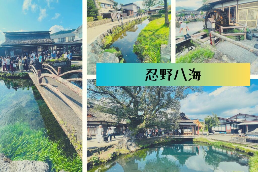 忍野八海in山中湖