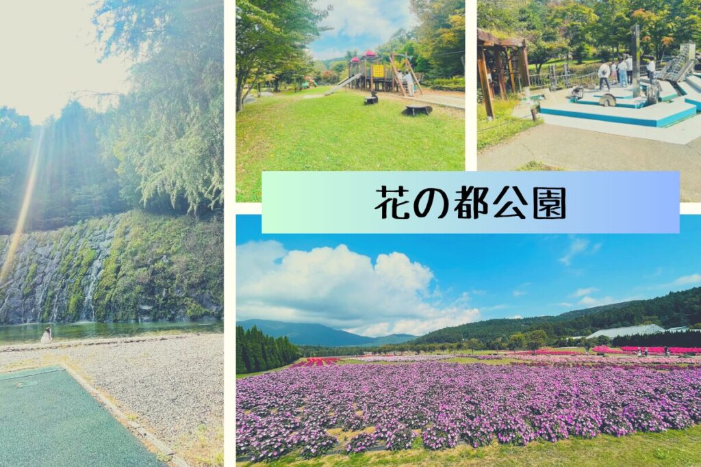 花の都公園in山中湖