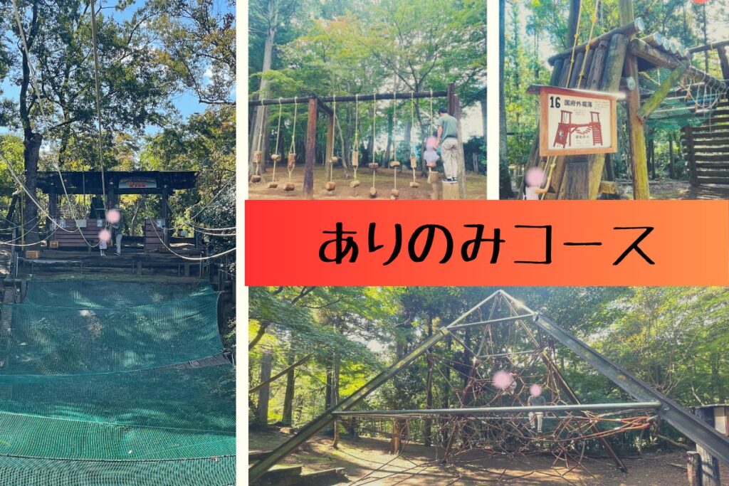 ありのみコース